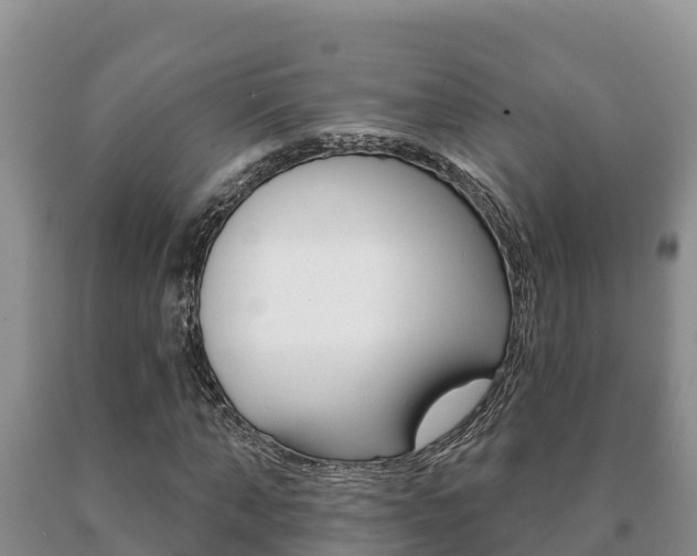 X0000091070870200708061020
