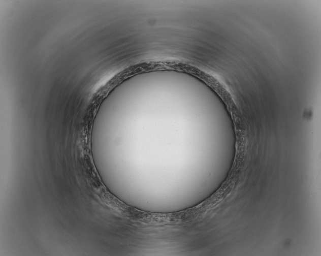 X0000091070871200708061020