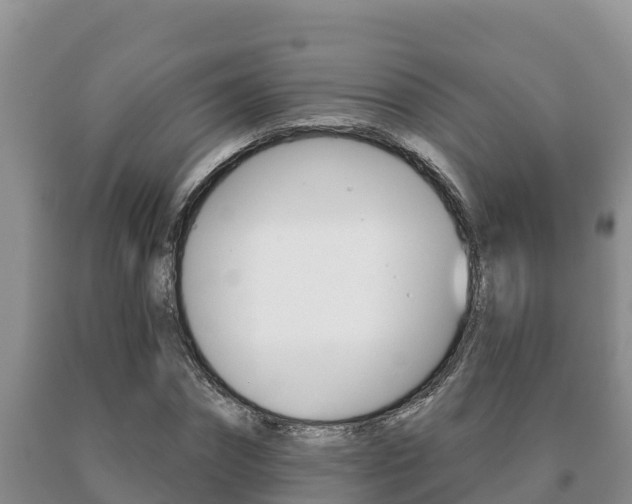 X0000091070874200708061020