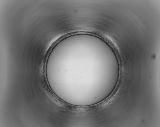 X0000091070875200708061020