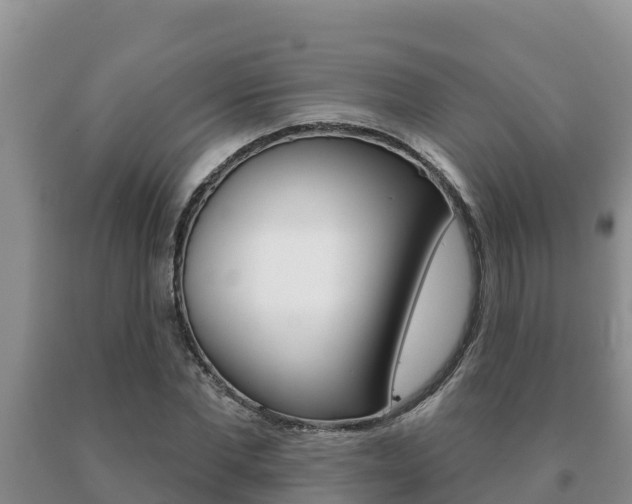X0000091070877200708061020