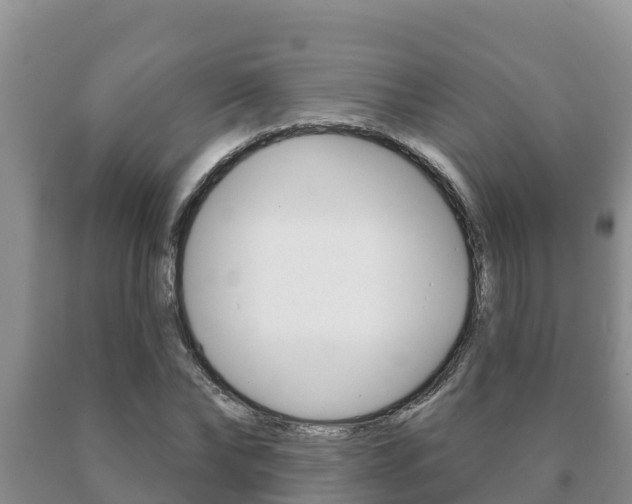 X0000091070878200708061020