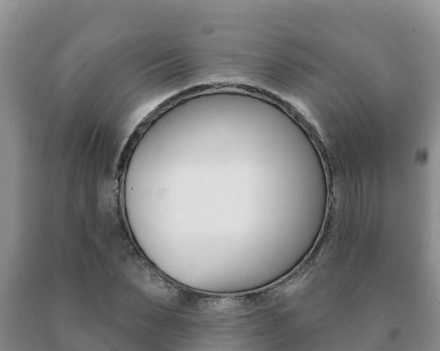 X0000091070879200708061020