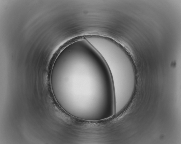 X0000091070880200708061020