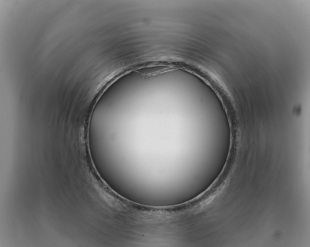 X0000091070881200708061020