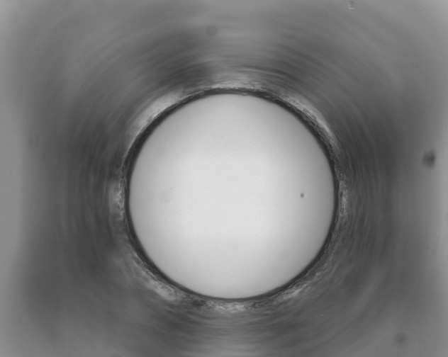 X0000091070882200708061020
