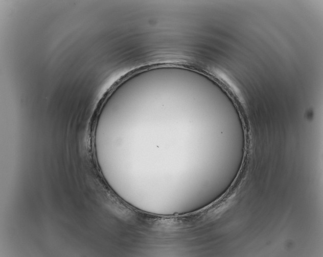 X0000091070883200708061020