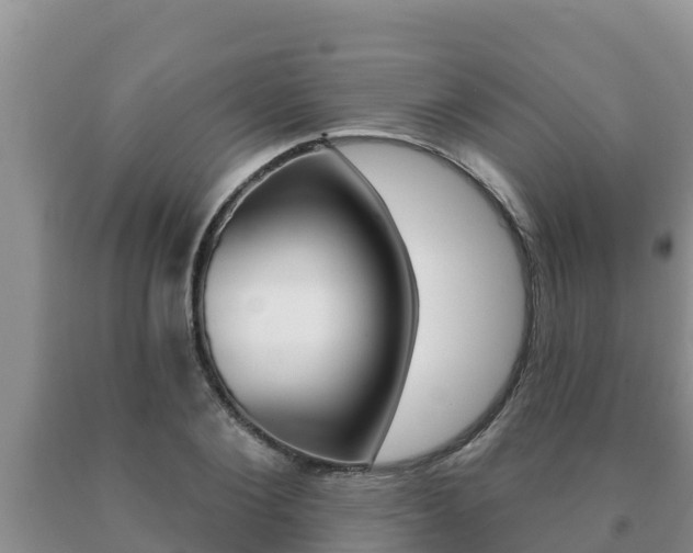 X0000091070884200708061020