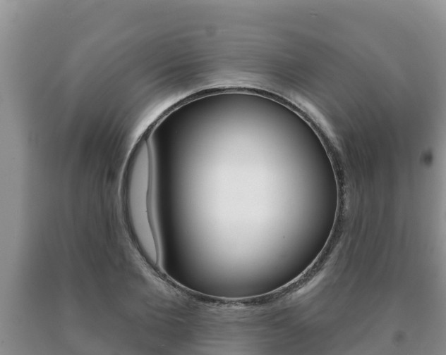 X0000091070885200708061020