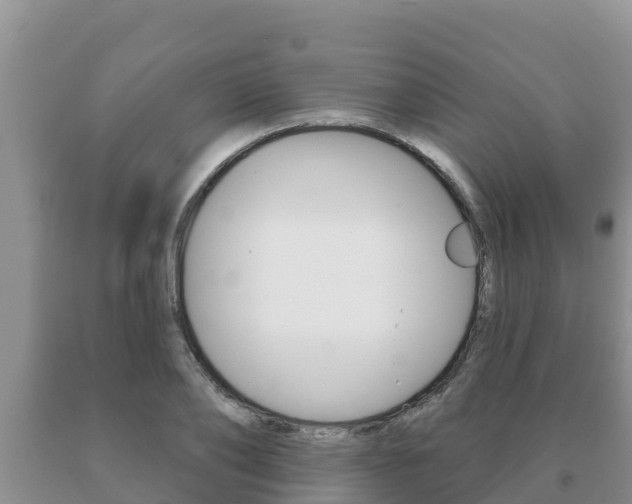X0000091070886200708061020