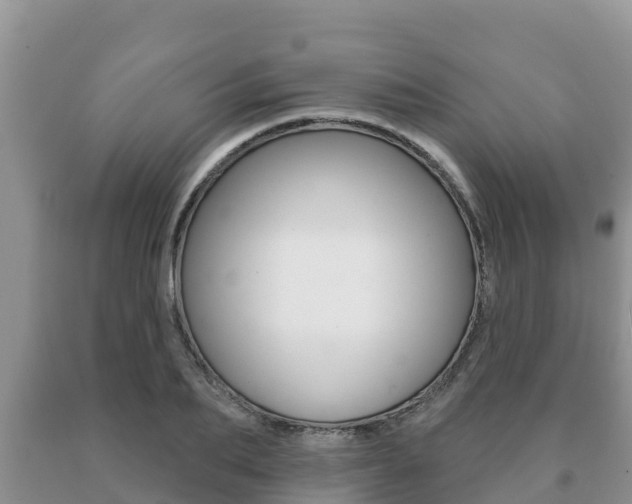 X0000091070887200708061020