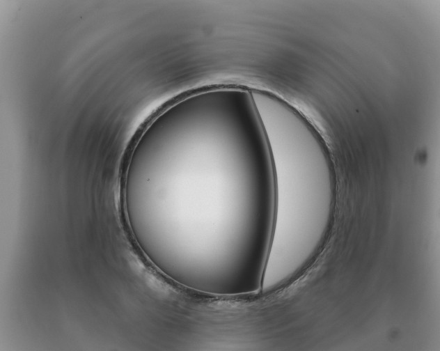 X0000091070888200708061020