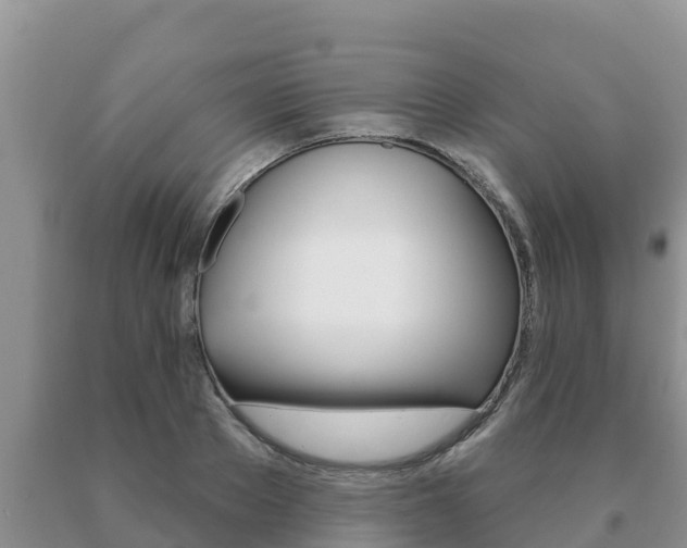 X0000091070889200708061020