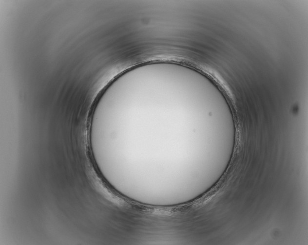 X0000091070890200708061020