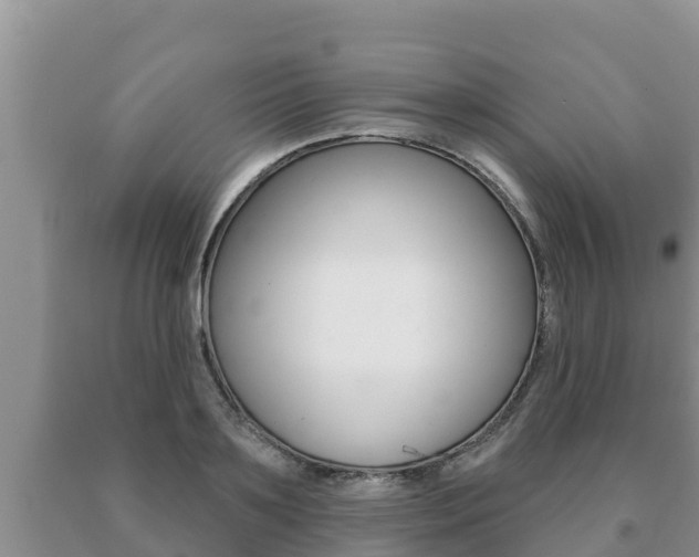 X0000091070891200708061020