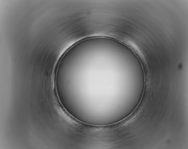 X0000091070892200708061020
