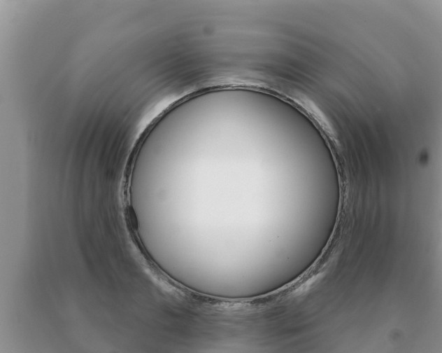 X0000091070893200708061020