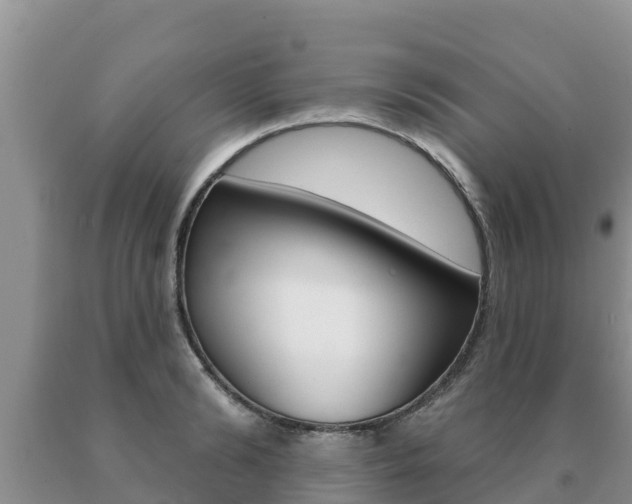 X0000091070894200708061020
