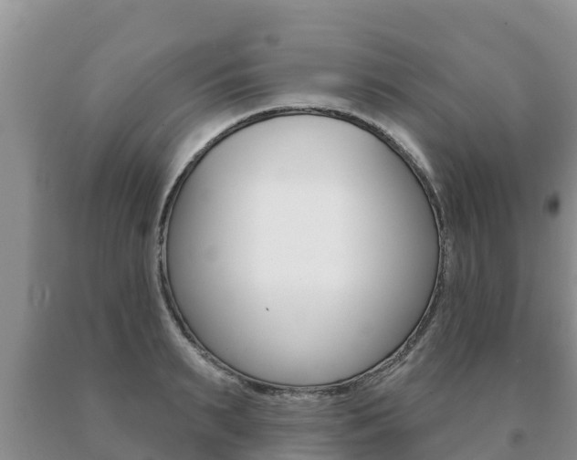 X0000091070895200708061020