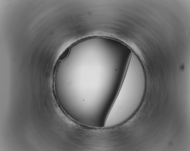 X0000091070896200708061020