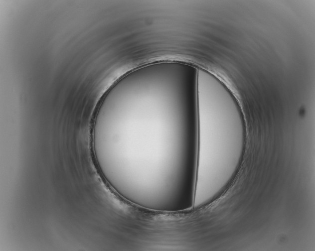 X0000091070898200708061020