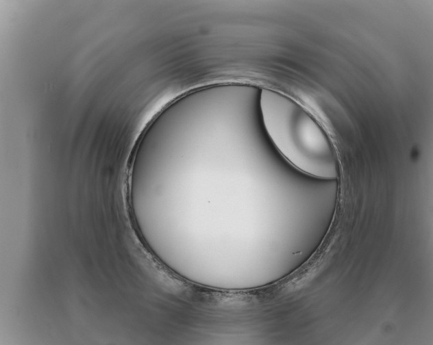 X0000091070899200708061020