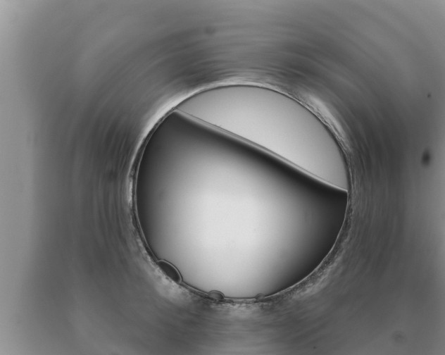 X0000091070900200708061020