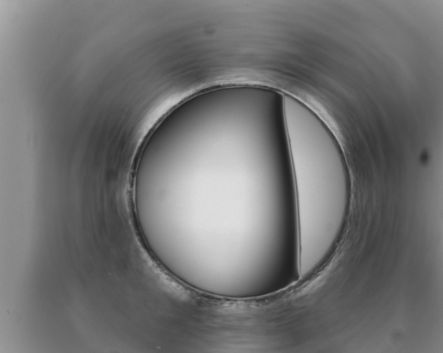 X0000091070901200708061020