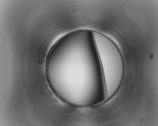 X0000091070902200708061020