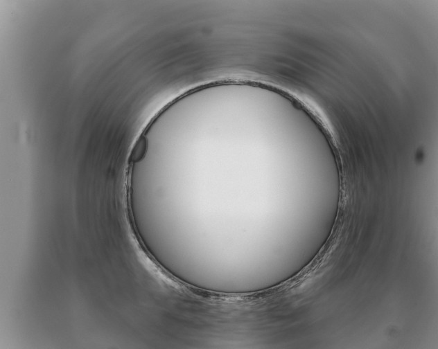 X0000091070903200708061020