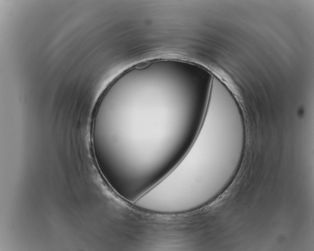 X0000091070904200708061020