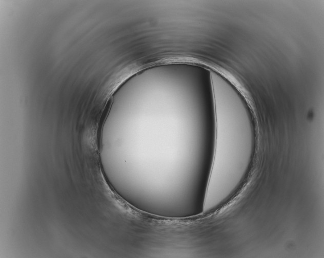 X0000091070905200708061020