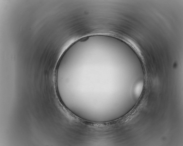 X0000091070907200708061020