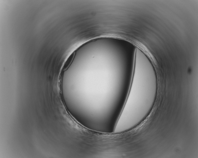X0000091070908200708061020