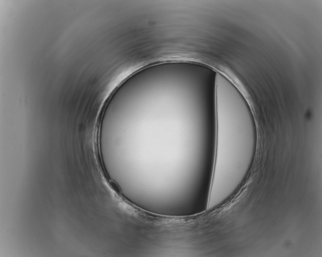 X0000091070909200708061020