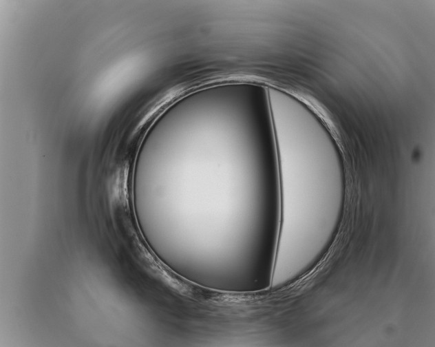 X0000091070910200708061020
