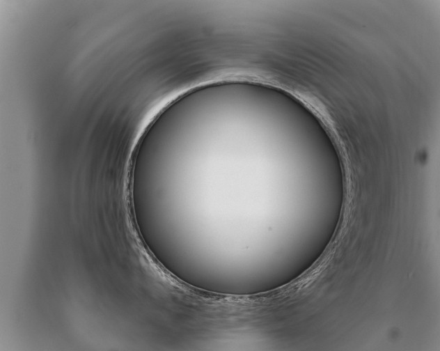 X0000091070912200708061020
