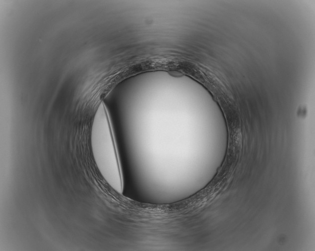 X0000091070914200708061019