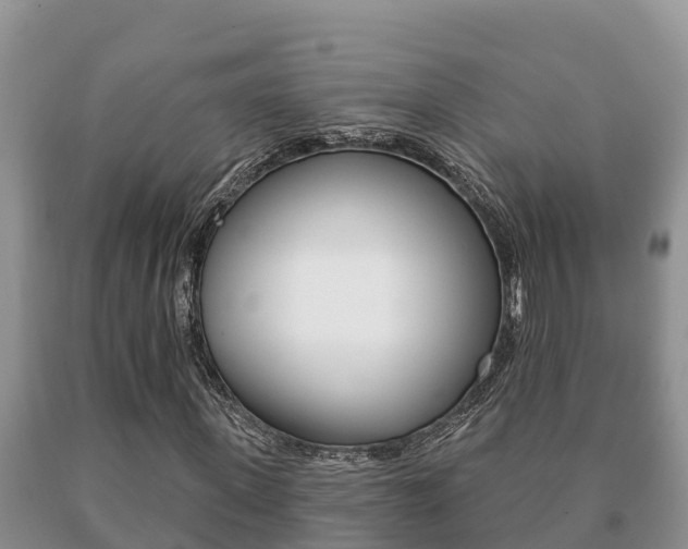 X0000091070915200708061019