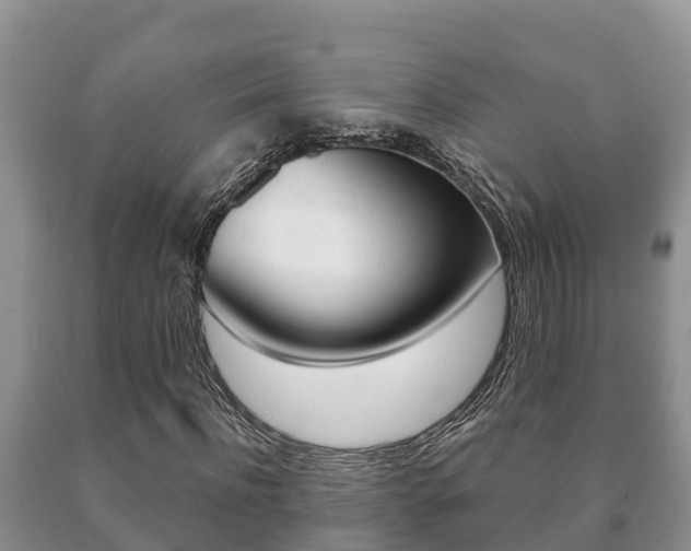 X0000091070916200708061019