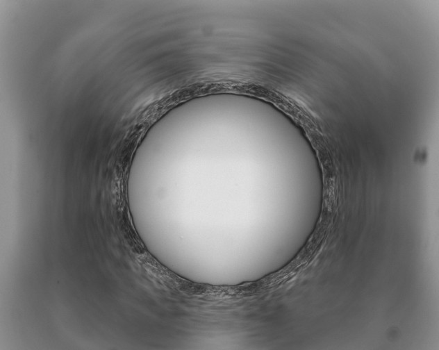 X0000091070917200708061019