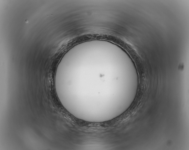 X0000091070918200708061019