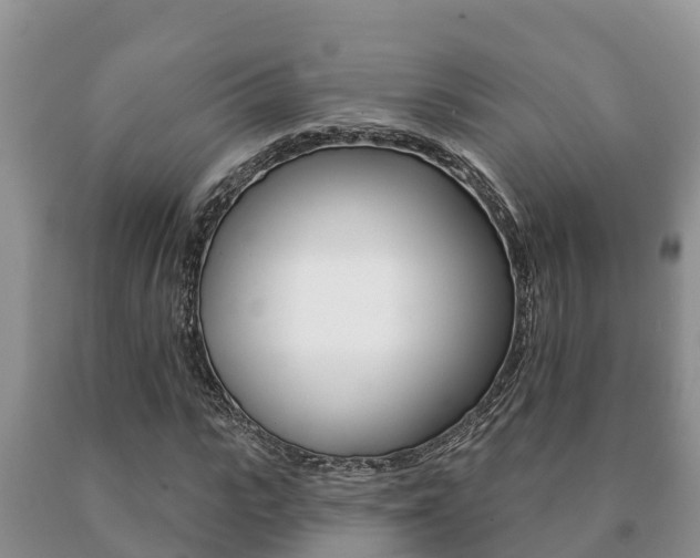 X0000091070919200708061019