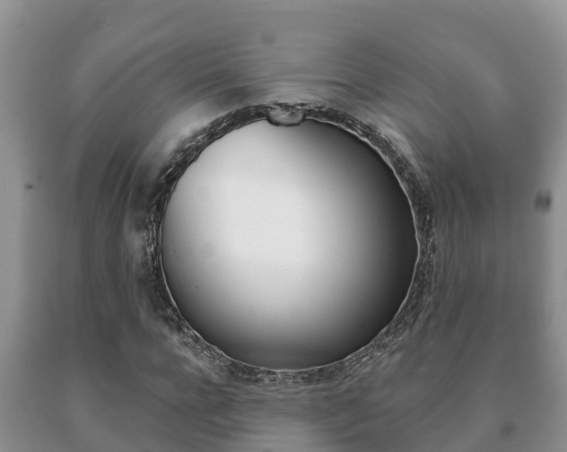 X0000091070920200708061019