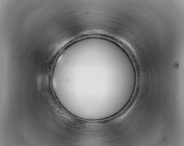 X0000091070921200708061019