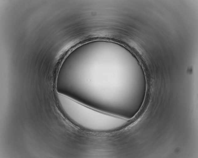 X0000091070922200708061019