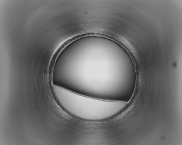 X0000091070924200708061019