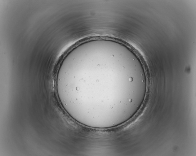X0000091070925200708061019