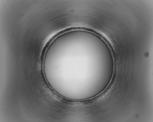 X0000091070927200708061019