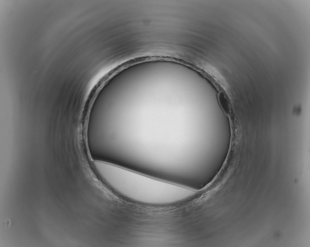 X0000091070928200708061019